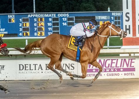 Evangeline Downs Picks, Live Horse Racing Schedule, & News.